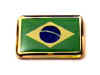 F05LP68 brazil flag lapel pin.jpg (13085 bytes)