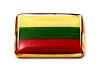 F174LP68 lithuania flag lapel pin.jpg (11446 bytes)
