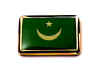 F188LP68 mauritania flag lapel pin.jpg (10774 bytes)