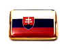 F234LP68 slovakia flag lapel pin.jpg (11231 bytes)