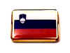 F235LP68 slovenia flag lapel pin.jpg (11260 bytes)