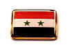 F253LP68 syria flag lapel pin.jpg (11993 bytes)