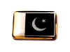 F25LP68 pakistan flag lapel pin.jpg (9426 bytes)