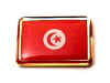 F262LP68 tunisia flag lapel pin.jpg (13063 bytes)