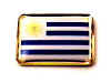 F273LP68 uruguay flag lapel pin.jpg (14670 bytes)