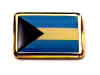 F42LP68 bahamas flag lapel pin.jpg (12382 bytes)