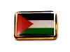 F44LP68 palestine flag lapel pin.jpg (9738 bytes)