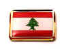 F52LP68 lebanon flag lapel pin.jpg (13193 bytes)