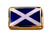 F60LP68 scotland flag lapel pin.jpg (13413 bytes)