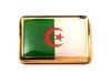 F73LP68 algeria flag lapel pin.jpg (10747 bytes)